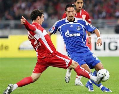 本赛季的 本赛季的